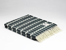 Load image into Gallery viewer, Green Picnic Blanket